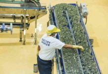 Price hike looms after suspension of mackerel import clearance Employees process cans of sardines at a manufacturing plant in Sto. Tomas, Batangas. JONATHAN CELLONA/ABS-CBN NEWS PHOTO