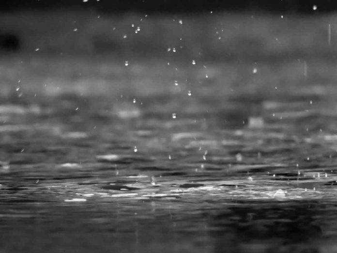 rain-reza-shayestehpour-Nw_D8v79PM4-unsplash Photo by reza shayestehpour on Unsplash