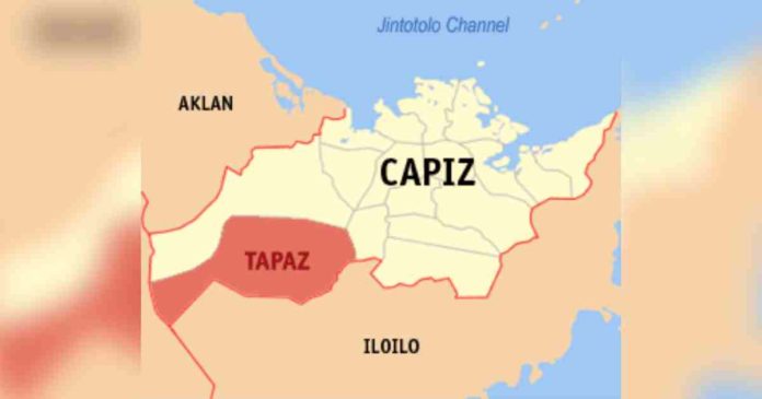 tapaz Photo credit: Mike Gonzalez / Wikimedia Commons (CC BY-SA 3.0)