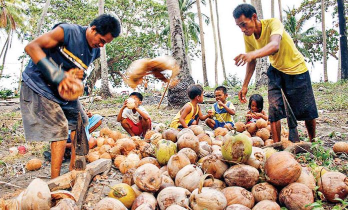 DOE The Department of Energy’s order to increase coco methyl ester blend in diesel fuel is expected to create additional markets for coconut farmers, biodiesel producers, and other stakeholders in the coconut industry. PHOTO BY MARK CAYABYAB/OS WIN GATCHALIAN