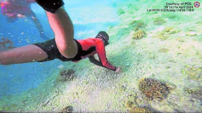 PCG_resized On the surface and underwater, Philippine Coast Guard divers find piles of dead corals in Escoda (Sabina) Shoal, taking them as signs of another island-building activity by the Chinese. PHOTO FROM THE X POSTS OF PCG SPOKESPERSON COMMODORE JAY TARRIELA