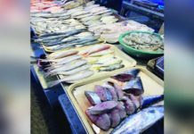 Fisheries recorded a total value of P53.73 billion during the first quarter of 2024 to reflect a 1.3% annual decline, according to the Philippine Statistics Authority. BFAR-6 PHOTO