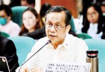 NEDA chief not keen on oil, power subsidies