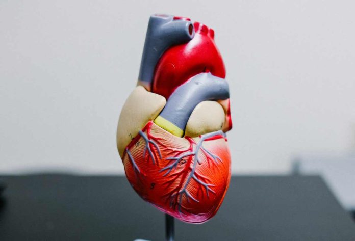 heart-kenny-eliason-MEbT27ZrtdE-unsplash Photo courtesy of Kenny Eliason