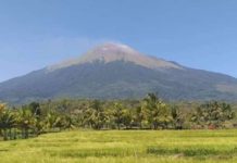 A total of 24 volcano-tectonic earthquakes were detected by the Kanlaon Volcano Network between 1:35 p.m. and 4:30 p.m. on Sunday, May 26. Photo shows the Kanlaon Volcano as seen from La Castellana, Negros Occidental. PNA FILE PHOTO