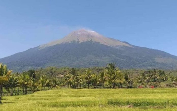 kanlaon_resized A total of 24 volcano-tectonic earthquakes were detected by the Kanlaon Volcano Network between 1:35 p.m. and 4:30 p.m. on Sunday, May 26. Photo shows the Kanlaon Volcano as seen from La Castellana, Negros Occidental. PNA FILE PHOTO