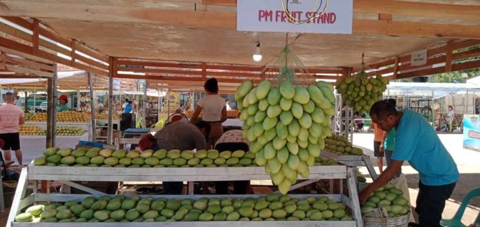 mango_1_resized Guimaras mangoes are now on display at the Guimaras provincial capitol grounds for the Manggahan Festival’s Agri-Eco Trade Fair. IME SORNITO/PN