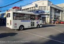 Under Bacolod City’s Local Public Transport Route Plan 24 routes were identified and 1,099 minibuses are needed to operate. RAIN DIARIES/FACEBOOK PHOTO