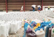The Department of Agriculture appeals to the National Food Authority (NFA) not to sell rice in low amounts. Photo shows NFA personnel piling up the rice stock in the warehouse. NFA CAPIZ PHOTO