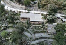 Agri losses from Kanlaon eruption climb to P11.33M; Phivolcs maintains volcano’s Alert Level 2 Ash from Kanlaon Volcano covered roads and plants in Barangay Ara-al, La Carlota City, Negros Occidental. K5 NEWS FM NEGROS OCCIDENTAL PHOTO