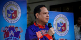 Gov. Arthur Defensor Jr. says Iloilo was invited by Malacañang to take part in the “Parada ng Kalayaan: Grand Parade of Local Government Floats” at Quirino Grandstand in Rizal Park on June 12. ILOILO CITY GOVERNMENT PHOTO