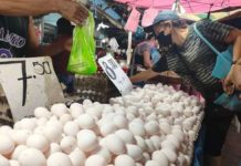 Egg sizes improving as weather cools – group The increase in egg sizes following the end of El Niño has allowed farmers to sell their produce at slightly higher prices. PN FILE PHOTO
