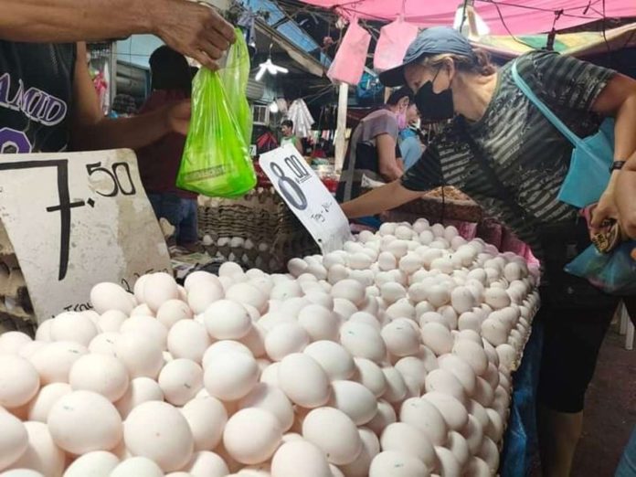 egg_sizes_resized The increase in egg sizes following the end of El Niño has allowed farmers to sell their produce at slightly higher prices. PN FILE PHOTO