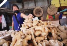 DA taking steps to address tight supply, high prices of ginger Prices of ginger reached P280 per kilo in Metro Manila as of latest monitoring of the Department of Agriculture. File photo shows a market vendor at Divisoria Market in Tondo, Manila, arranging extra-large ginger she is selling. DANNY PATA PHOTO