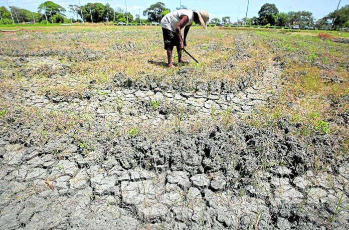 la_resized The El Niño phenomenon is a large-scale oceanographic/meteorological phenomenon that develops in the Pacific Ocean and is associated with extreme climatic variability such as devastating rains, winds, and drought. Photo shows a drought-hit farm in Imus, Cavite. INQUIRER / RICHARD A. REYES