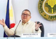 Agri chief bares smugglers’ bribery try Agriculture Secretary Francisco Tiu Laurel Jr. PNA PHOTO