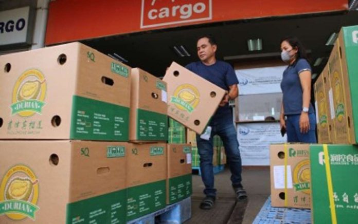 marcos_order_resized A man carries a box of durian for export to China from Davao City on April 6, 2023. The Davao region covers around 78 percent of the total durian production in the country. PNA PHOTO BY ROBINSON NIÑAL JR.