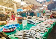 Don’t believe online rumors, fish in PH safe to eat – BFAR A vendor tends to his stall at the fish section of the Iloilo Central Market in Iloilo City. PN FILE PHOTO
