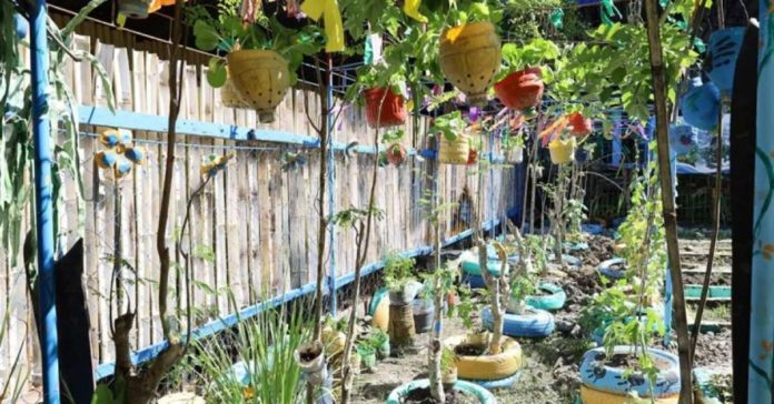 garden_resized Vegetables are grown using recycled plastic bottles and tires in Barangay Nabitasan, La Paz, Iloilo City. DA 6 REGIONAL AGRI-FISHERY INFORMATION SECTION PHOTO
