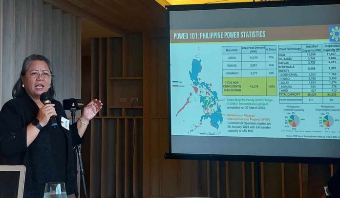 gerome_energy_resized “Renewable energy is crucial for the Philippines in addressing the challenges of climate change and economic development, among others,” says Energy Undersecretary Rowena Cristina during a seminar on energy in Iloilo City facilitated by the US Embassy.