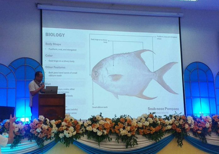 ime_seafdec_resized Dr. Roger Edward Mamauag of the Southeast Asian Fisheries Development Center (SEAFDEC) discusses nursery and grow-out operations for Pompano fish, emphasizing its potential profitability and viability as an alternative to milkfish, during a forum on July 9 in Tigbauan, Iloilo. The forum was part of SEAFDEC’s 51st anniversary celebrations. IME SORNITO/PN