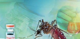 Several doctors’ groups have urged the Food and Drug Administration to approve the QDENGA dengue vaccine, noting that the Philippines lags behind its neighboring countries when it comes to vaccinating against dengue.