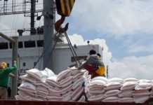 PH rice imports won’t reach 4.7M MT despite tariff cut – DA The Philippines has imported 2.37 million metric tons of rice in the first seven months of 2024, data from the Bureau of Plant Industry showed. PNA FILE PHOTO