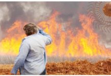 Brazil suspects criminals set record São Paulo fires A man watches a fire in a sugar cane plantation near Dumon city, Brazil. REUTERS