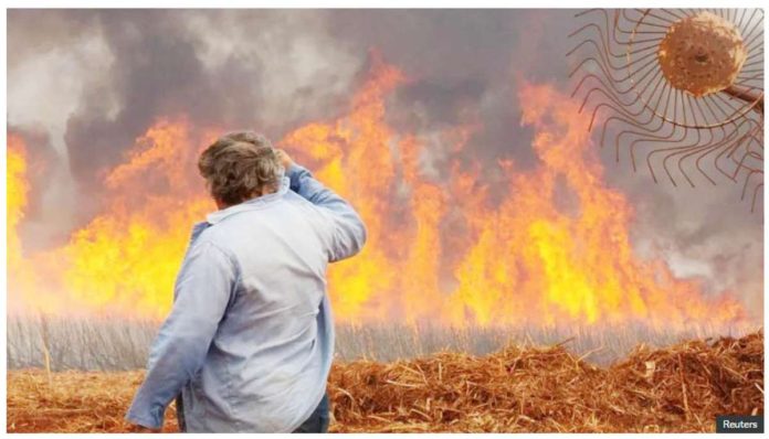 A man watches a fire in a sugar cane plantation near Dumon city, Brazil. REUTERS