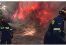Thousands evacuated as wildfires approach Athens Firefighters confront a huge wildfire inching towards Athens in Greece. BBC