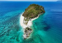 Gigantes islands keep rabies-free status: Boosts Iloilo’s 2030 target