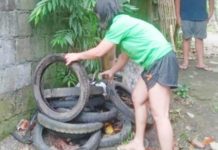 Province-wide ‘Limpyo Iloilo’ cleanup targets mosquito breeding sites, clogged waterways Residents of the Barangay Barangay Tabayon, Banga, Aklan joined the municipal-wide cleanup drive against dengue to eradicate mosquito breeding places. Among the mosquito breeding sites found at home are tires and flower pots. BARANGAY AND SK COUNCIL OF TABAYON PHOTO