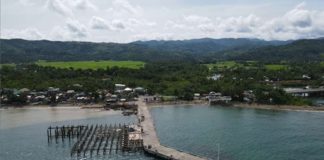 The P208.34-million contract for the dredging of Alegria Port in Buruanga, Aklan was awarded to a contractor from Daet, Camarines Norte.