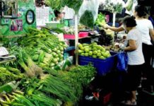 Economy grew 6% in Q2 – economist Growth drivers for 2024 and beyond include the easing inflation and the possible reduction in interest rates, further recovery of the tourism sector and continued growth in overseas Filipino remittances. PNA FILE PHOTO