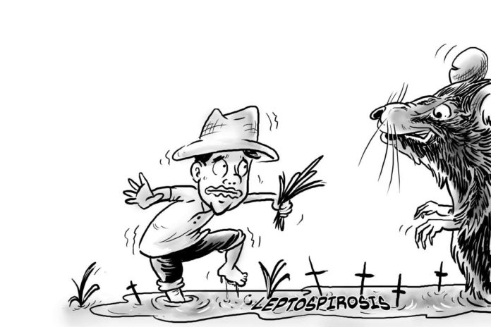 Editorial Cartoon for August 10, 2024.
