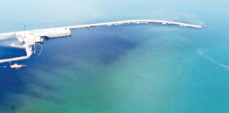 The molasses spill from M/T Mary Queen of Charity docked at the feeder port in Sagay City, Negros Occidental, on Wednesday, August 7, 2024. Mayor Narciso Javelosa Jr. said immediate actions have been taken to minimize the damage due to the molasses spill. SAGAY CITY INFORMATION AND TOURISM OFFICE PHOTO