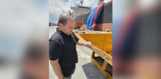 Pablo Luis Azcona, administrator of the Sugar Regulatory Administration, inspects the raw sugar to be exported to the United States at Bredco port in Bacolod City on Saturday, August 17. SRA PHOTO