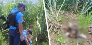 Police have yet to determine the motive behind the killing of a 15-year-old girl from Barangay Sum-ag, Bacolod City. Pearl Joy Galve was found dead inside a sugarcane field in Hacienda San Roque, Barangay Cubay, La Carlota City on August 14, 2024. PHOTOS COURTESY OF RMN DYHB BACOLOD/LA CARLOTA CITY PNP