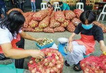 PH importing 16,000 MT of yellow onions Bureau of Internal Revenue Commissioner Romeo Lumagui Jr. says the agency supports the governmentās thrust in helping the public have access to more affordable healthcare and medicine. MISAMIS ORIENTAL PIO PHOTO