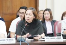 DOE eyeing ‘commercially operational’ nuclear power plants by 2032 GARIN