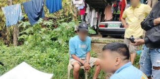 The 67-year-old alias “Renato” yielded caliber .38 revolver, homemade 12-gauge shotgun and ammunition in a raid in Barangay Catubig, Badiangan, Iloilo on Sept. 25, 2024. PHOTO COURTESY OF PRO-6