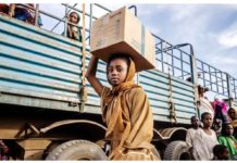 Starvation in war-hit Sudan ‘almost everywhere’ – WHO A Sudanese girl who have fled the war with her family carries a box of belongings after arriving at a transit center for refugees in Renk in South Sudan. GETTY IMAGES