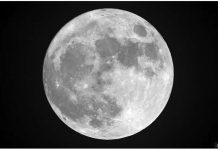 Earth to briefly gain second ‘moon’, scientists say The Earth has one moon. But for a brief period soon, it will have two, according to scientists. GETTY IMAGES