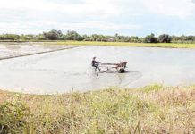 PH agri trade deficit widened in Q2 A farmer uses a hand tractor to prepare a rice paddy for planting palay in Pulilan, Bulacan, on August 8. GRIG C. MONTEGRANDE PHOTO
