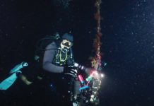 Philippines to launch Pinoy-made ‘bonfire diving’ to boost tourism The Department of Tourism will soon launch a new tourism product offering called bonfire diving. This refers to diving at night in shallow waters with light to attract planktons and other species, which is then good for diving photography. DOT-REGION 10 PHOTO
