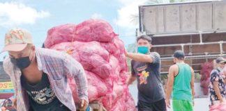 The current minimum daily wage rates in Western Visayas are P480 for non-agricultural sectors employing more than 10 workers, P450 for those employing 10 or fewer, and P440 for workers in agriculture. Photo shows porters unloading agricultural products at the Iloilo Terminal Market in Iloilo City. PN FILE PHOTO