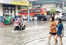 ‘Preemptive strike’ vs leptospirosis pushed People exposed to flood and sewage water are at great risk of leptospirosis, and those working in farms handling livestock such as hogs, cows, sheep, and goats because these animals can also get the disease. PHOTO BY POT CHAVEZ