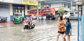 People exposed to flood and sewage water are at great risk of leptospirosis, and those working in farms handling livestock such as hogs, cows, sheep, and goats because these animals can also get the disease. PHOTO BY POT CHAVEZ