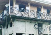 Former mayoral candidate survives home invasion