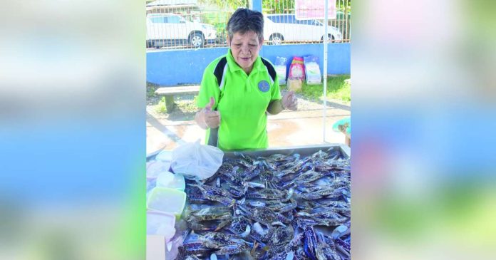 model village2 (1)_superimposed The Blue Swimming Crab (BSC) Adopt-a-Village Project in Manapla, Negros Occidental aims to improve the socio-economic conditions of the BSC fishers and other community members through profitable social enterprise. PROVINCIAL GOV’T OF NEGROS OCCIDENTAL/FB PHOTO